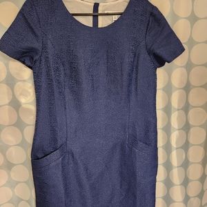 Navy NWT southern tide dress size large beautiful gold zipper down back